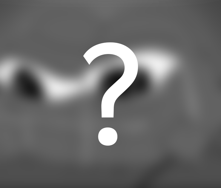 A blurred preview image.