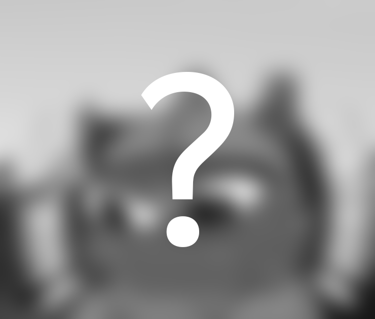 A blurred preview image.